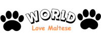 World Love Maltese